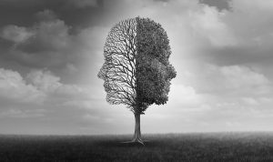 A tree in the shape of human faces with cloudy sky illustrating mood disorders